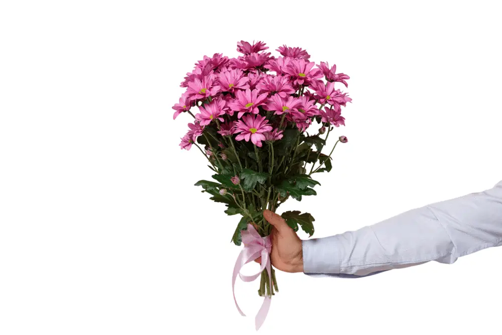 How to Remove Watermark from PicsArt Easily in 2025 4 Hand holding pink flower bouquet on white background edited using PicsArt without watermark